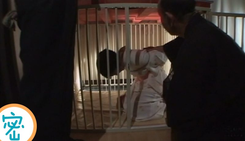 【日韩绳艺】绳虐束缚羞辱感十足的人妻 2-逍遥自在