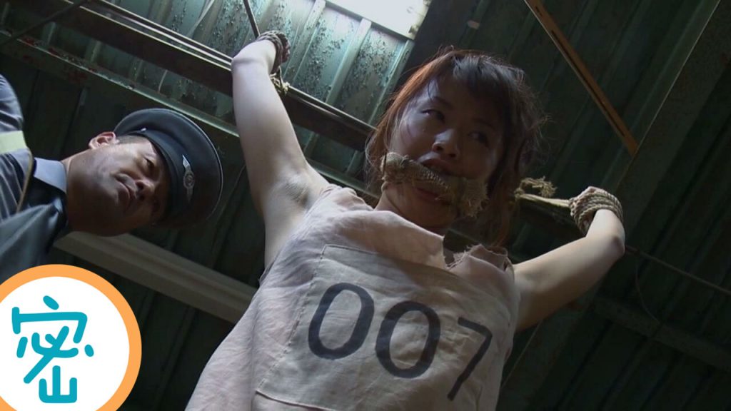 20251124205813697-5_副本