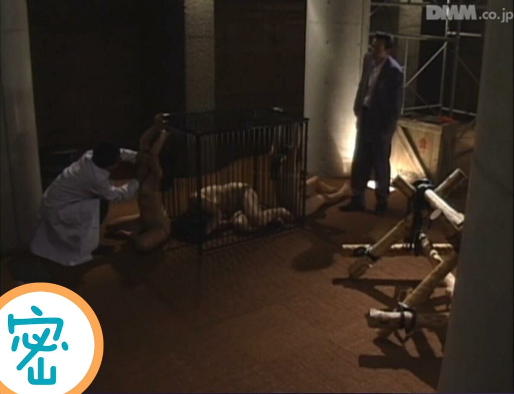 【日韩绳艺】【4K】被虐女战士潜入非合法商组织被抓严刑拷问绳虐地狱-逍遥自在