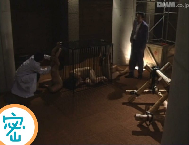 【日韩绳艺】【4K】被虐女战士潜入非合法商组织被抓严刑拷问绳虐地狱-逍遥自在