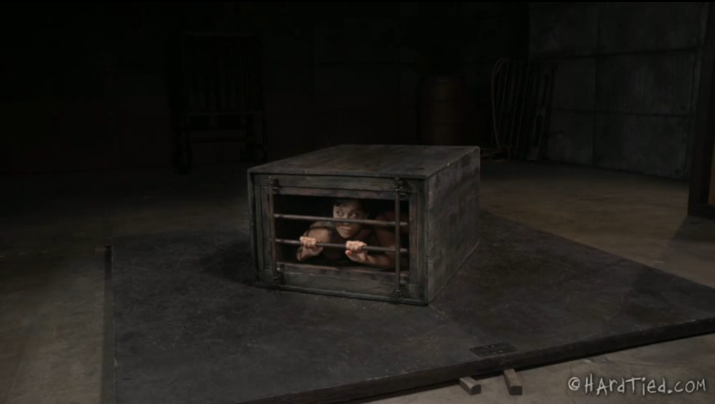 20251124211701846-11