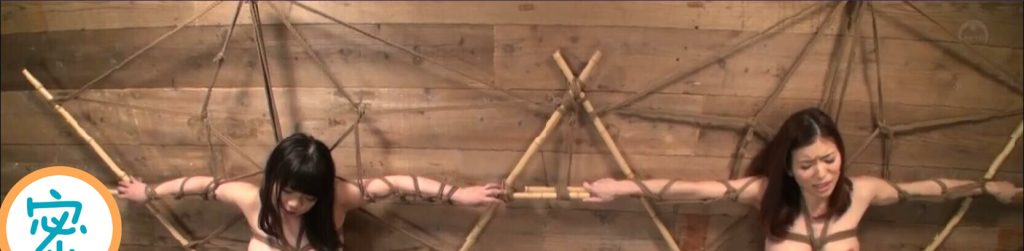 20251124220010219-19_副本