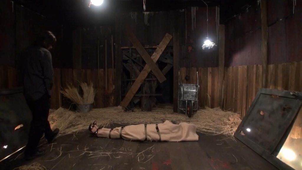 【日韩绳艺】束缚囚禁豚小屋圈养女体家畜PLANT 2-逍遥自在