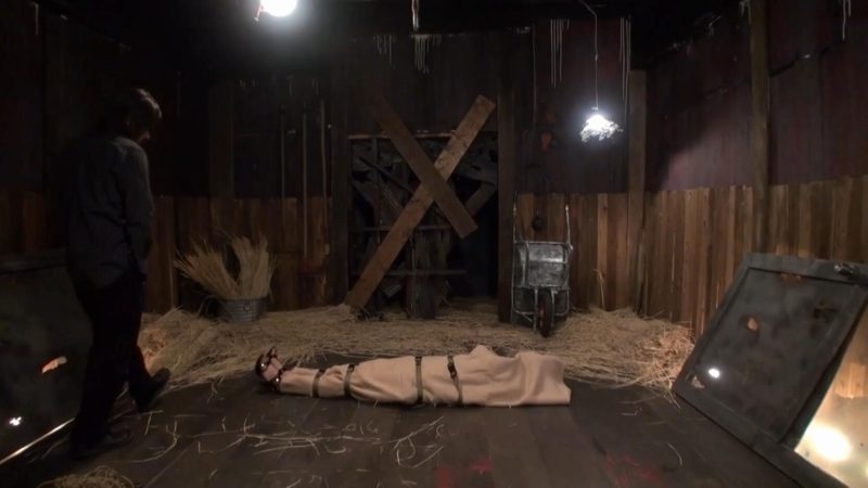 【日韩绳艺】束缚囚禁豚小屋圈养女体家畜PLANT 2-逍遥自在