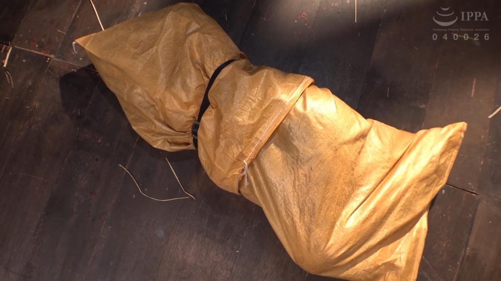 【日韩绳艺】束缚囚禁豚小屋圈养女体家畜PLANT 5-逍遥自在