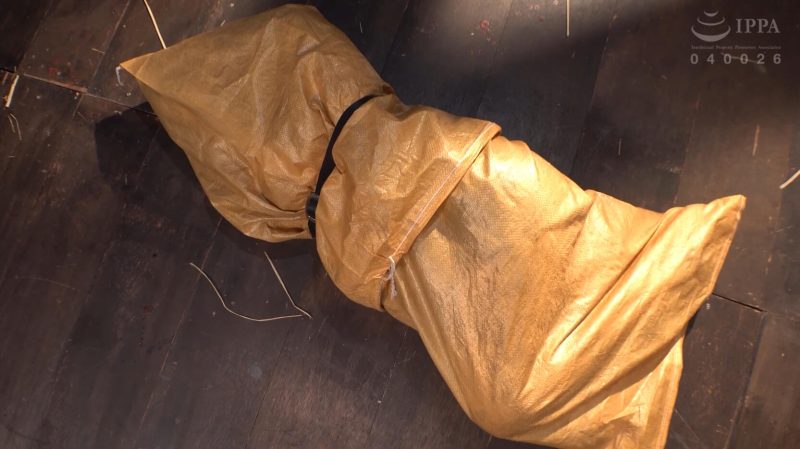 【日韩绳艺】束缚囚禁豚小屋圈养女体家畜PLANT 5-逍遥自在