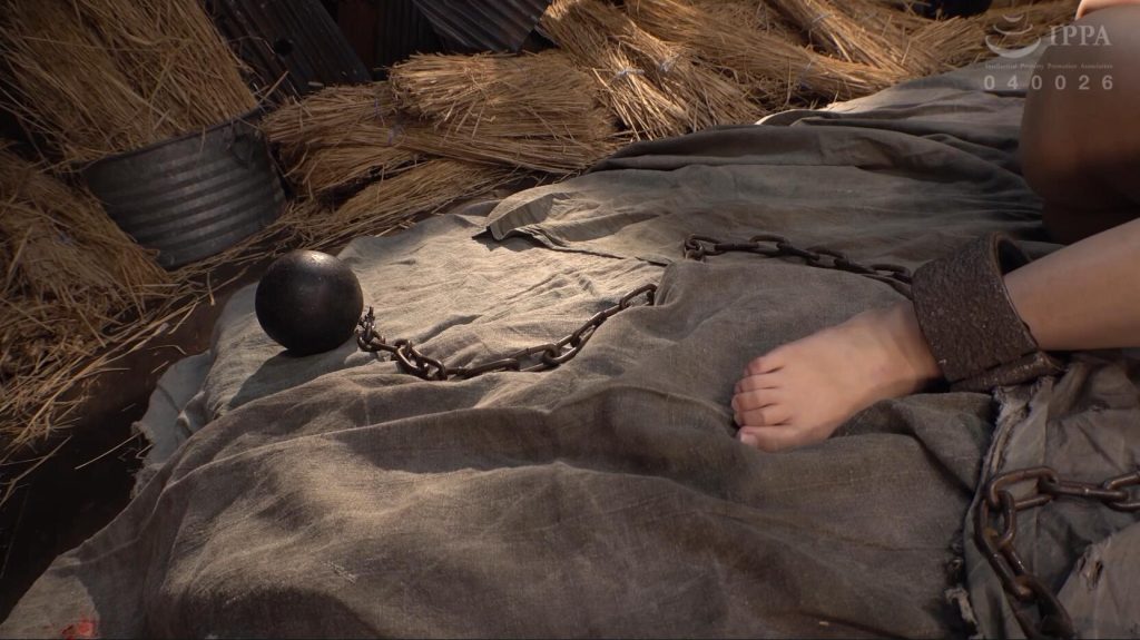 20251124224635102-17