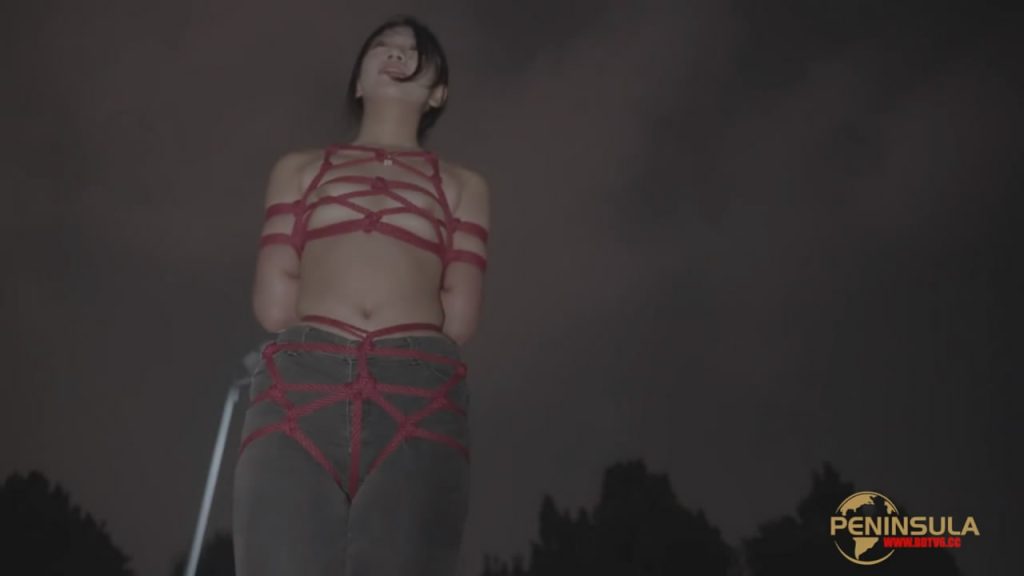 20251125072451306-135713gmrhor8h6rp0mz02