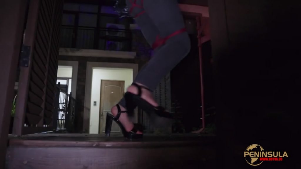 【半岛束艺台】【泽爱】YT2963 小区遛猫-逍遥自在