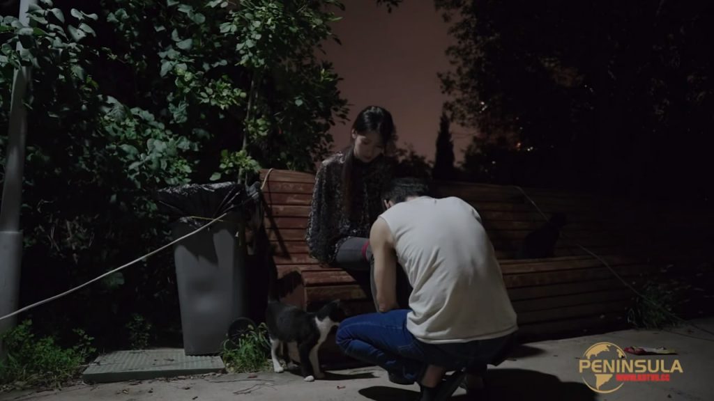 20251125072452936-135713w7z39mq3tnnete6e