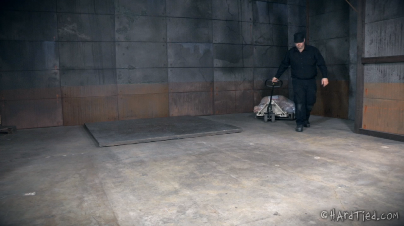 【欧美绳艺】诱拐监禁狂热的疯狂-逍遥自在