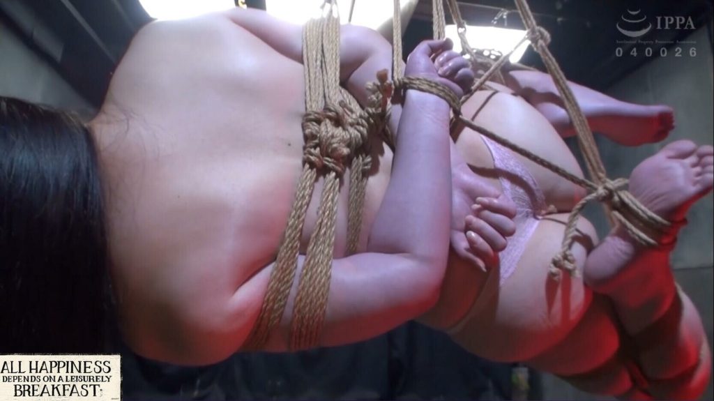 20251125212438688-9_副本