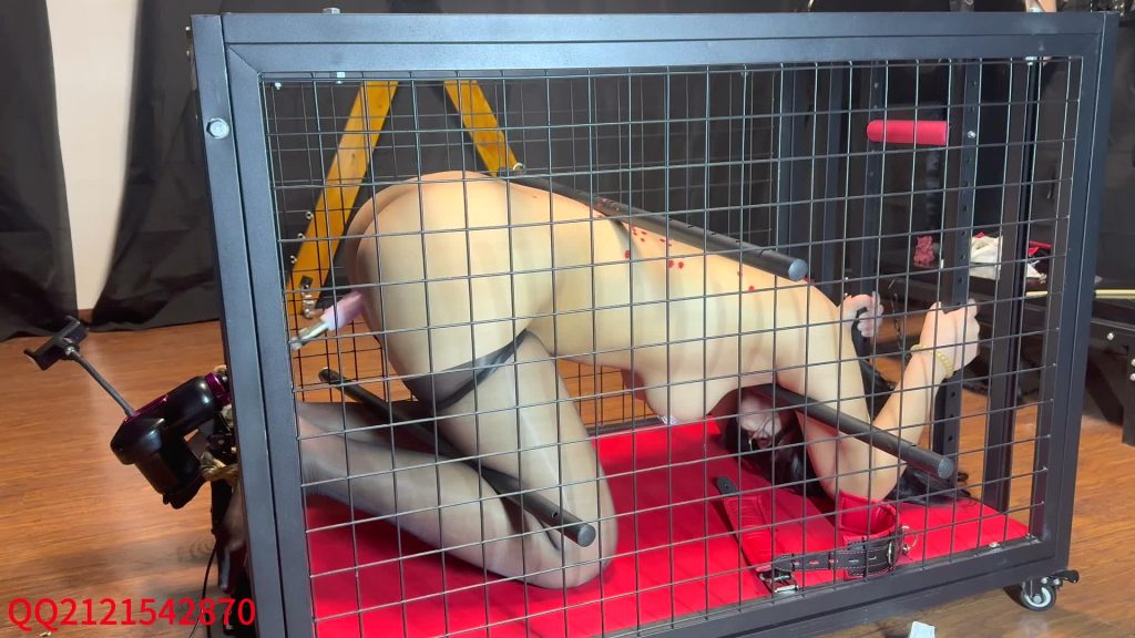 20251126134350709-XFpicture34879