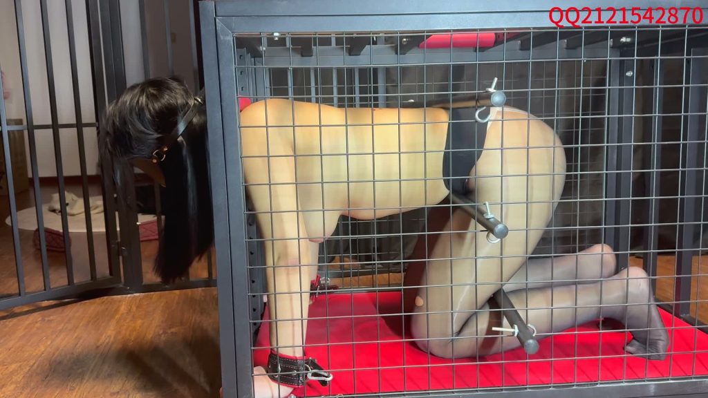 20251126134351336-XFpicture11023