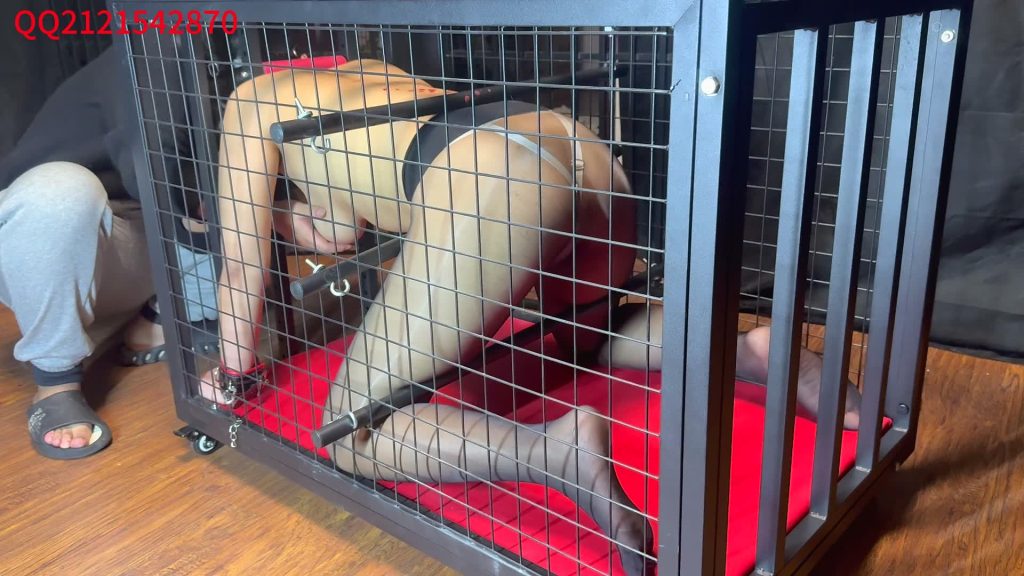 20251126134351872-XFpicture17023