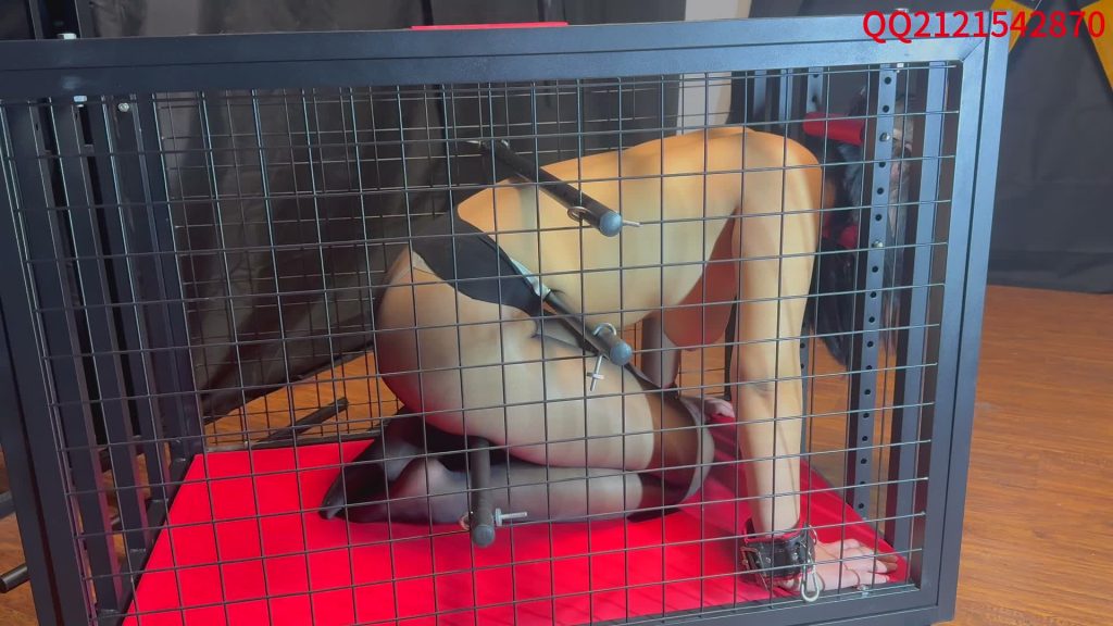 20251126134358519-XFpicture00972