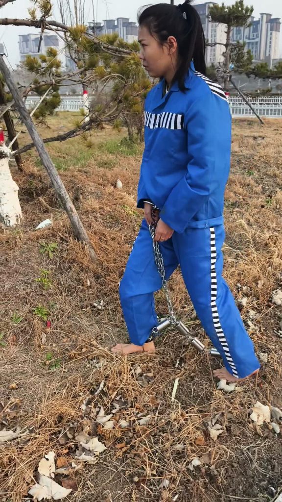 20251127104755297-XFpicture38171