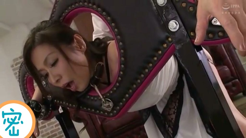 20251127202622243-11_副本