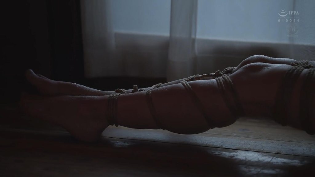 20251127221322388-14