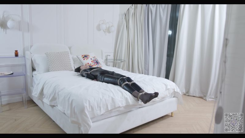 【红鲤鱼】间谍扭曲 - 第一部分-逍遥自在