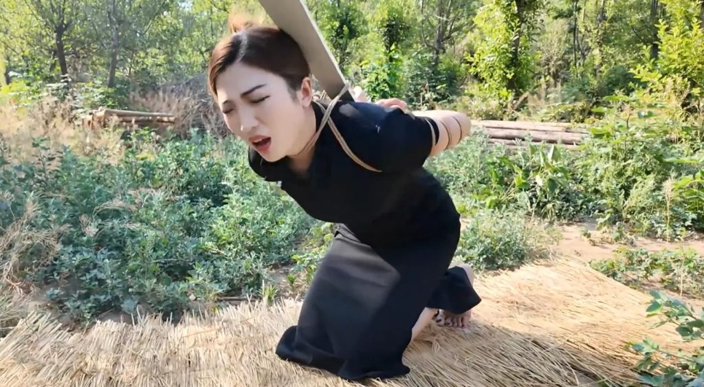 20251129115332685-77d553eece2007e48594d63f80fc9fc0