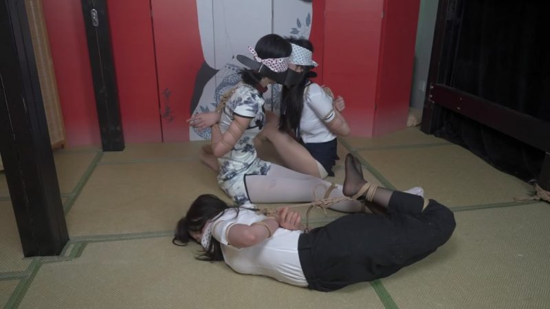 象人定拍 月亮为虎作伥也被捆绑，0嗷月三人一起沦为玩物-逍遥自在