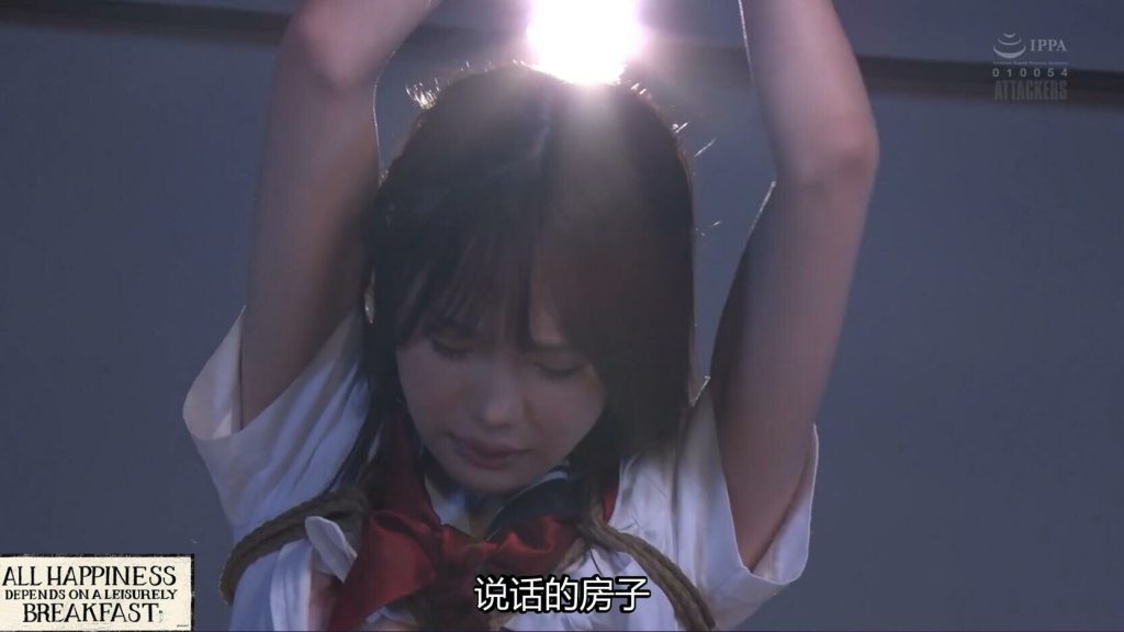 20251204233454427-5_副本