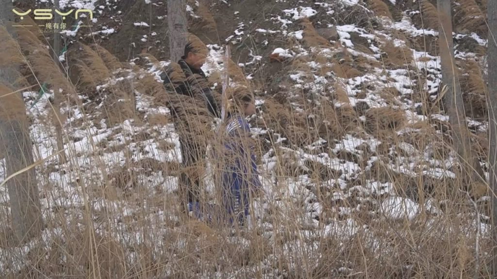 20251208105650410-061322ue9kt6veackmte7a