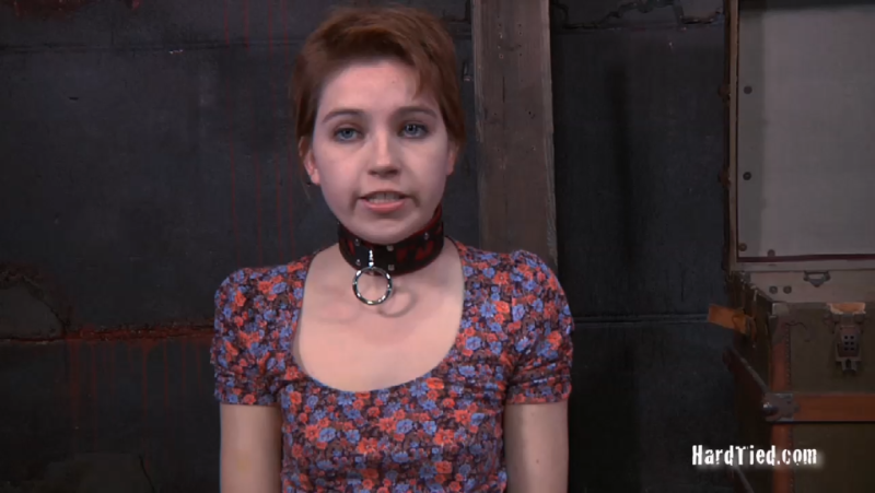 【欧美绳艺】可爱小M女畜牧化的强训-逍遥自在