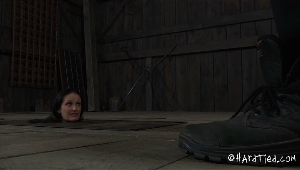 20251210211418818-14