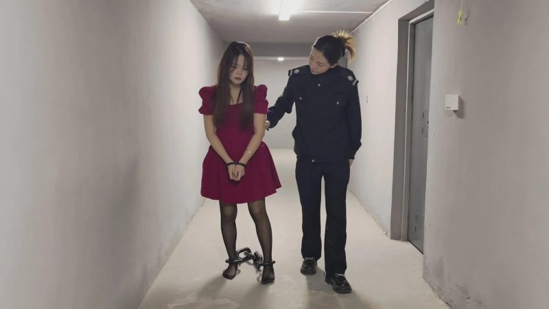 【鑫鑫工作室】张小姐因涉嫌贩D被逮捕，依法对她进行逮捕并搜查。张小姐声称自己没有犯罪-逍遥自在