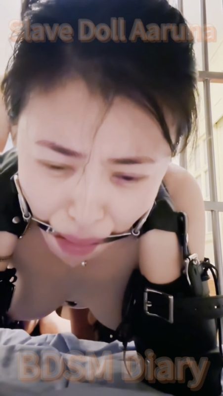 国内调教大神FFANSM 骚母狗日记 第一二三季总共34V34.4GB百度盘-逍遥自在