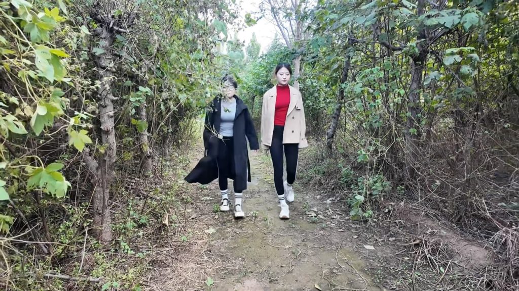 20251224072006290-031730fwqosl546iqtnyay