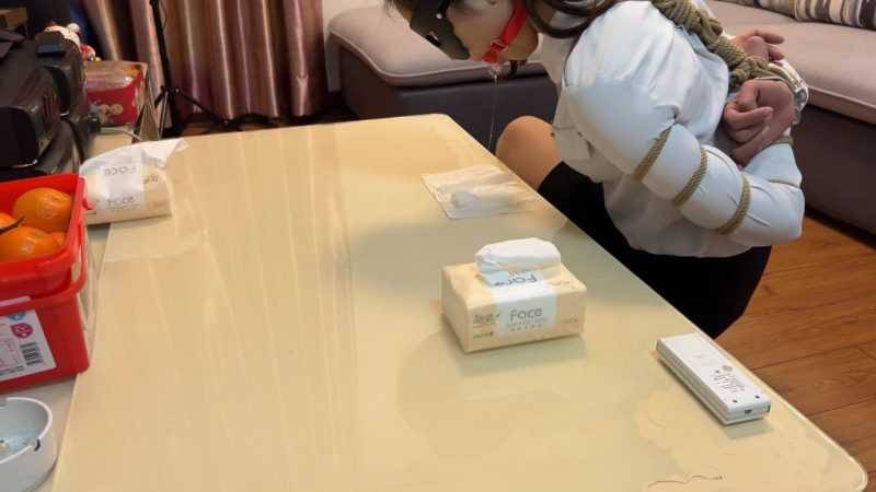 zhangyang 一条新丝袜的使命Ⅱ-逍遥自在