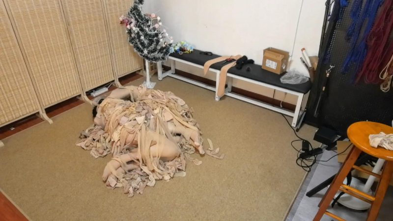 黄苓 双丝犬戏：两条丝袜犬在丝袜中玩耍-逍遥自在