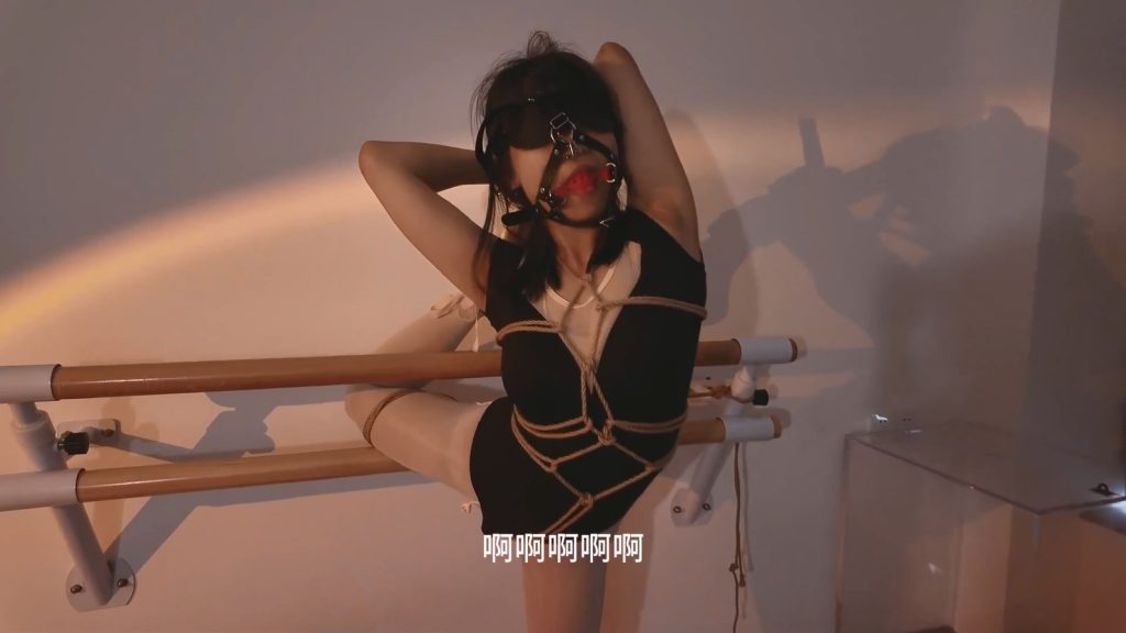 20251229161131819-hss03