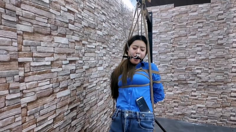 HD飞天 希希铁项圈乳夹夹乳,郊狼电击y塞放入下面挑战木马放置,加上强劲棒棒最终经-逍遥自在