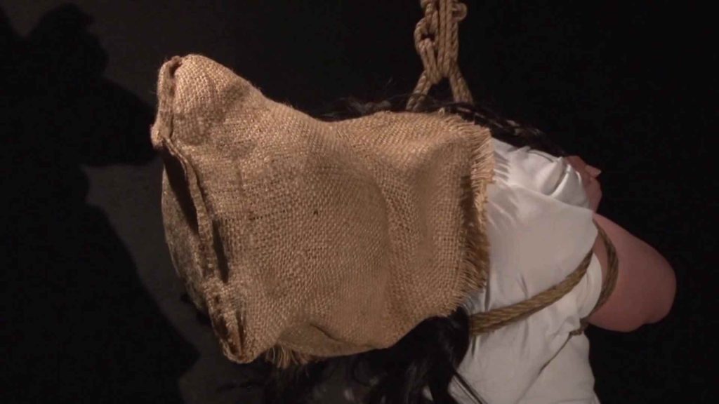 【日韩绳艺】调查审讯拷问部屋下的绳虐木马少妇-逍遥自在