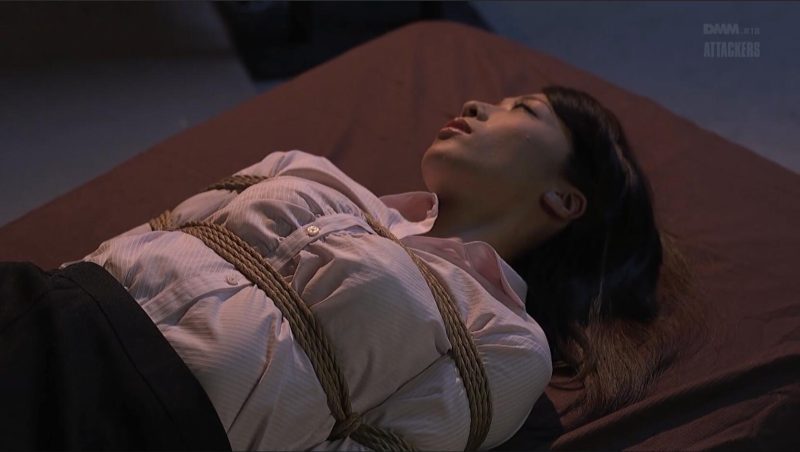 【日韩绳艺】黑暗劫持紧缚烛责圈禁耻辱拷问奴隶兽性的游戏人生-逍遥自在