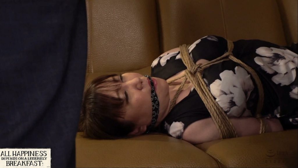 【日韩绳艺】【4K】恶魔巨乳女社长成为破坏魔蚀的快乐翻倍-逍遥自在