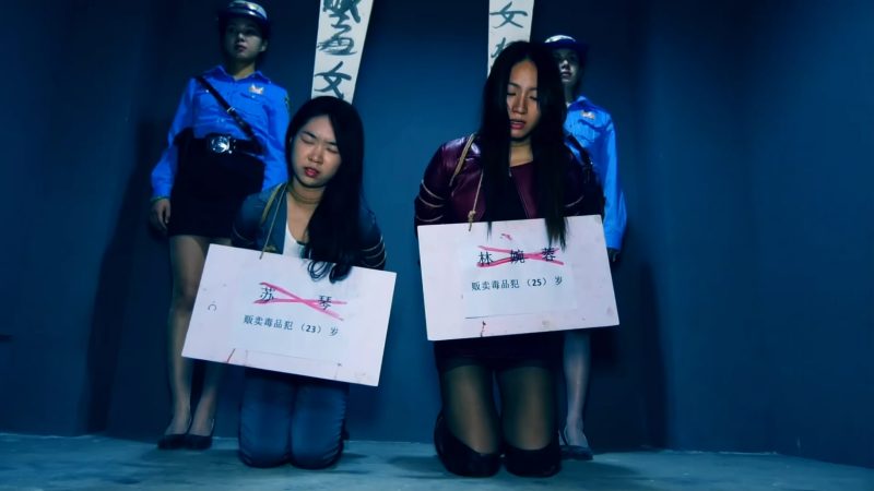 胜景影视《毒网挽歌之毒枭末路》 下集 苏秦和李婉蓉因贩卖毒品数额巨大情节特别恶劣被执行绞刑-逍遥自在