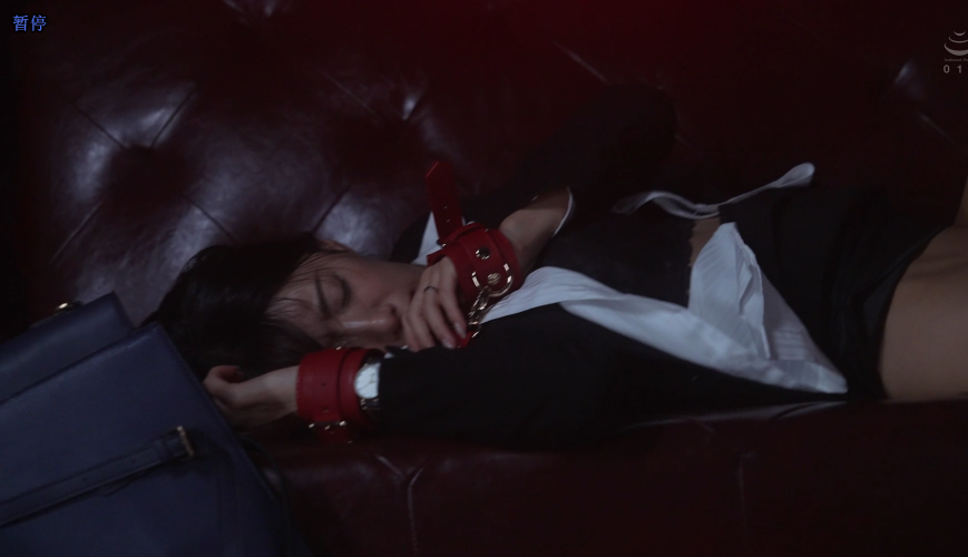 小日子：女领导系列6-逍遥自在