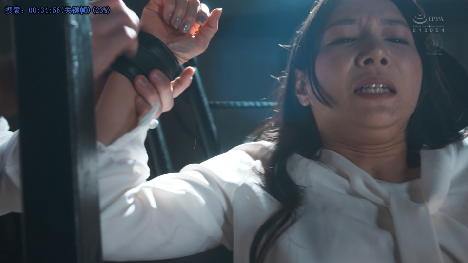 小日子：女领导系列7-逍遥自在