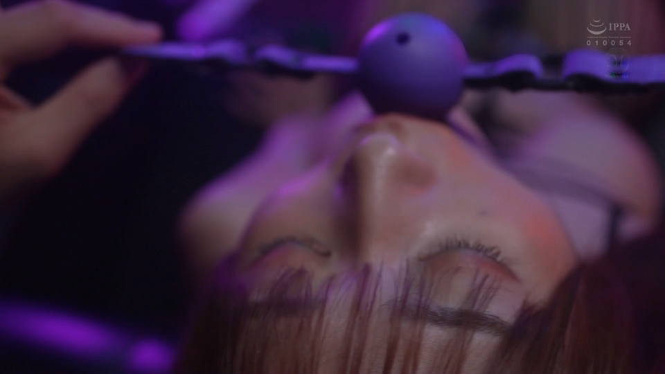 20260113001704256-Snipaste_2026-01-07_00-21-50