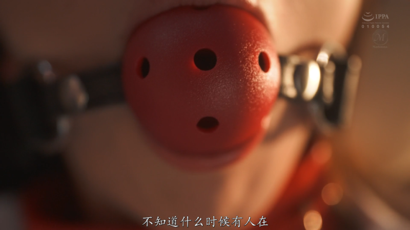 小日子：女领导juq2部中文剪辑版-逍遥自在