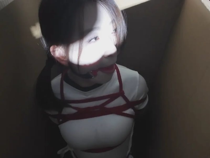 一绳所爱 《神秘礼物》魏灿灿-逍遥自在