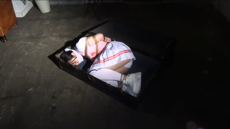 【日韩绳艺】被恶魔劫持绑架在紧缚下堕落羞耻深渊接受痛苦的折磨而无法躲避的千金 2-逍遥自在