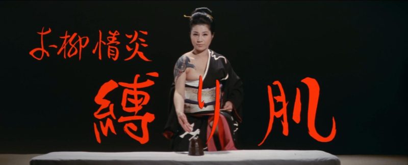 【日韩绳艺】【4K】团鬼六作品欲念阿柳束缚的肌肤拷问绝望的蔷薇夫人-逍遥自在