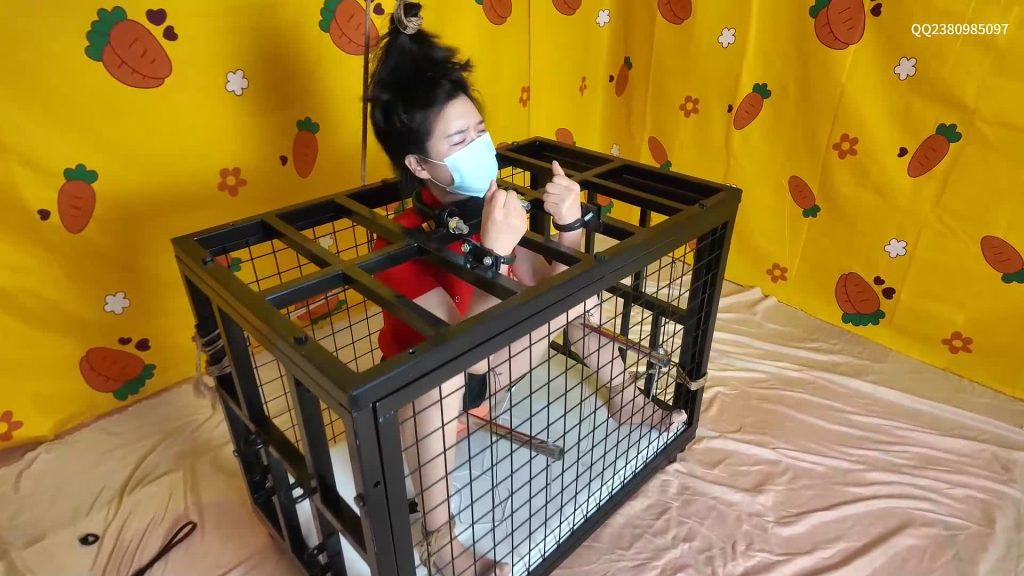 20260122111013353-XFpicture86095