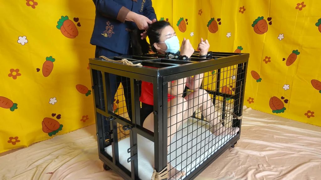 20260122111014984-XFpicture36823